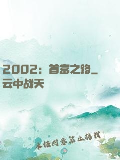 2002：首富之路