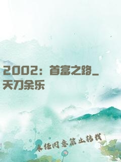 2002：首富之路