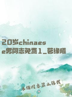 20岁chinaese男同志免费1