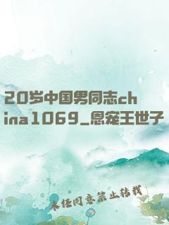 20岁中国男同志china1069
