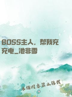 BOSS主人，帮我充充电