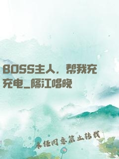BOSS主人，帮我充充电