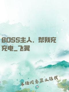 BOSS主人，帮我充充电