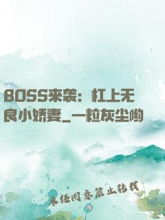 BOSS来袭：杠上无良小娇妻