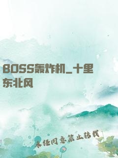 BOSS轰炸机