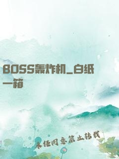 BOSS轰炸机
