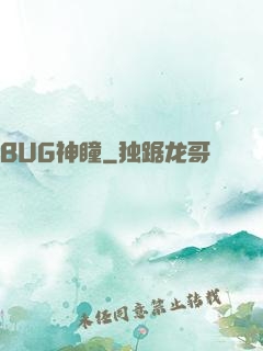BUG神瞳