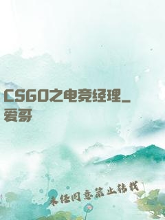 CSGO之电竞经理