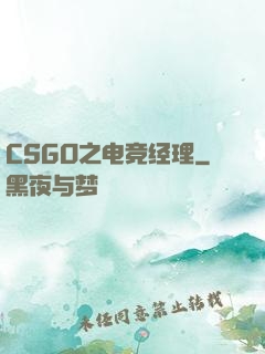CSGO之电竞经理