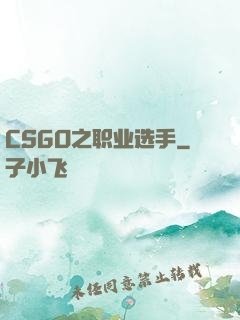 CSGO之职业选手