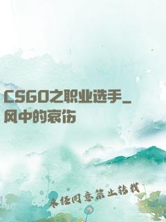 CSGO之职业选手