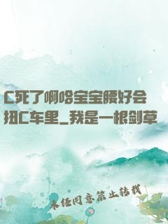 C死了啊哈宝宝腰好会扭C车里