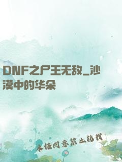 DNF之尸王无敌