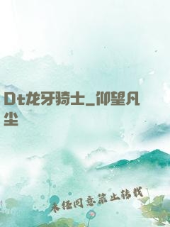 Dt龙牙骑士