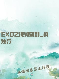 EXO之保姆驾到