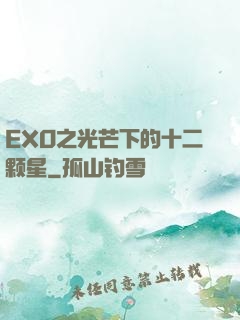 EXO之光芒下的十二颗星