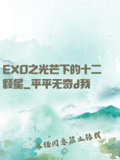 EXO之光芒下的十二颗星