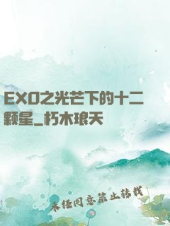 EXO之光芒下的十二颗星