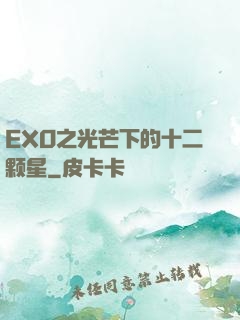 EXO之光芒下的十二颗星
