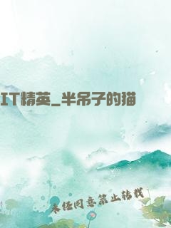 IT精英
