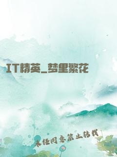 IT精英