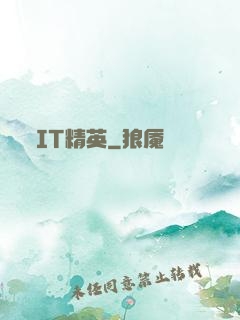 IT精英