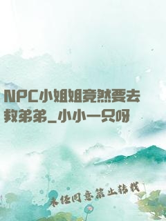 NPC小姐姐竟然要去救弟弟