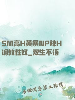 SM高H黄暴NP辣H调教性奴