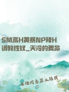 SM高H黄暴NP辣H调教性奴