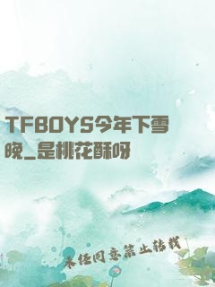 TFBOYS今年下雪晚