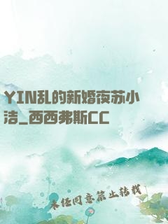 YIN乱的新婚夜苏小洁