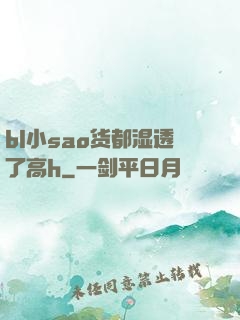 bl小sao货都湿透了高h