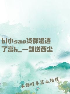 bl小sao货都湿透了高h