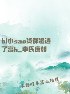 bl小sao货都湿透了高h