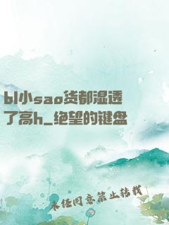 bl小sao货都湿透了高h
