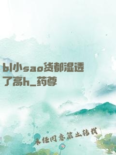 bl小sao货都湿透了高h