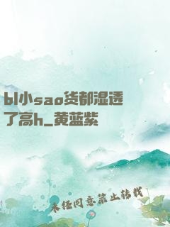 bl小sao货都湿透了高h