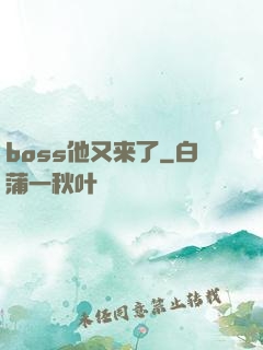 boss他又来了