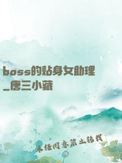 boss的贴身女助理