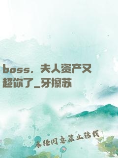 boss，夫人资产又超你了
