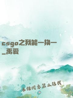 csgo之我能一换一