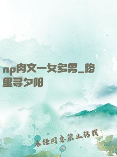 np肉文一女多男