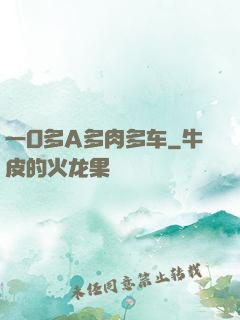 一O多A多肉多车