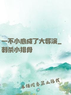 一不小心成了大导演