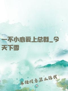 一不小心爱上总裁