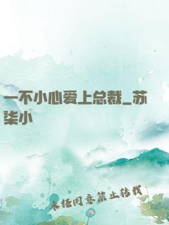 一不小心爱上总裁