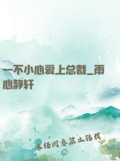 一不小心爱上总裁