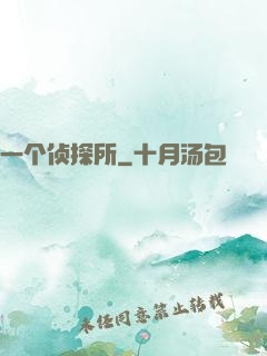 一个侦探所