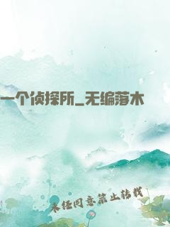 一个侦探所