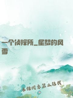 一个侦探所